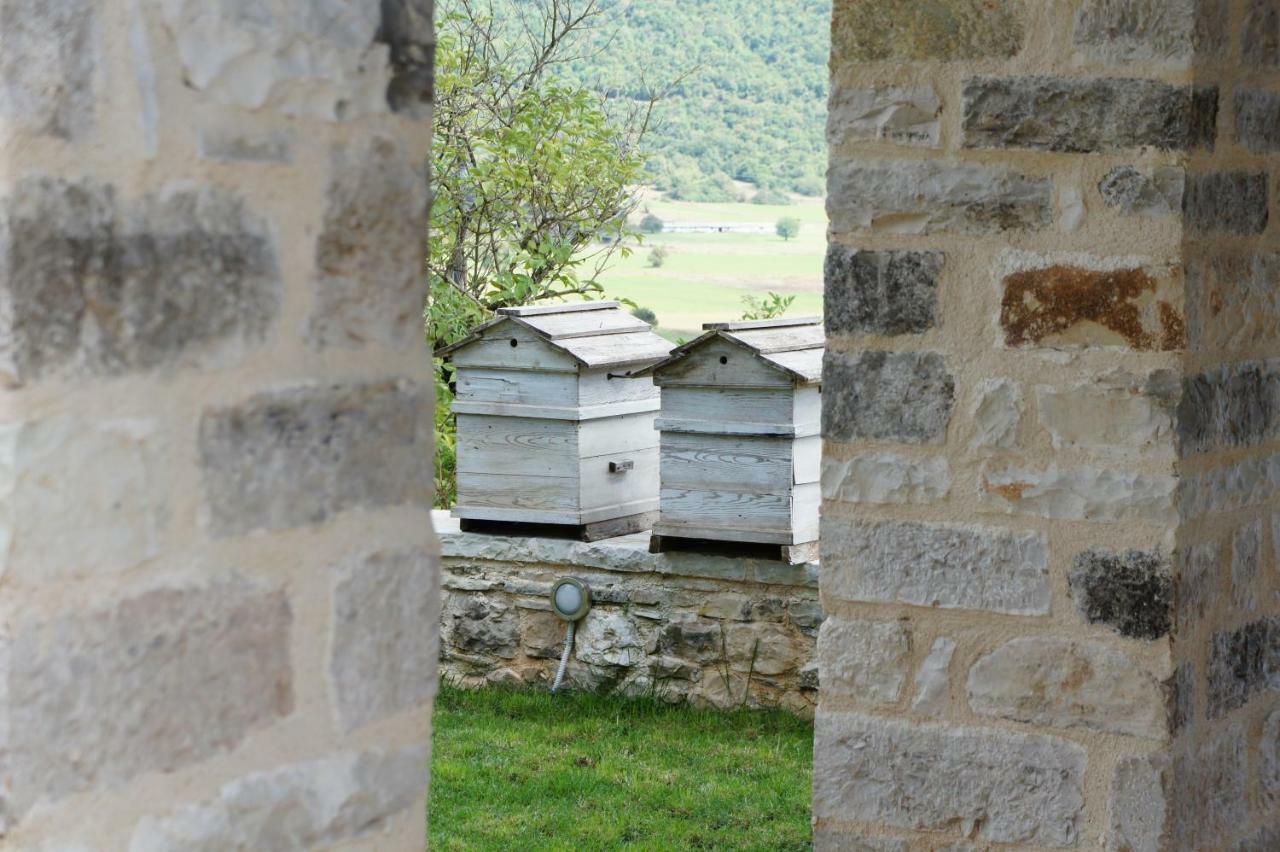"Apeiros Chora" Hotel, Zagori Kato Pedina Ngoại thất bức ảnh